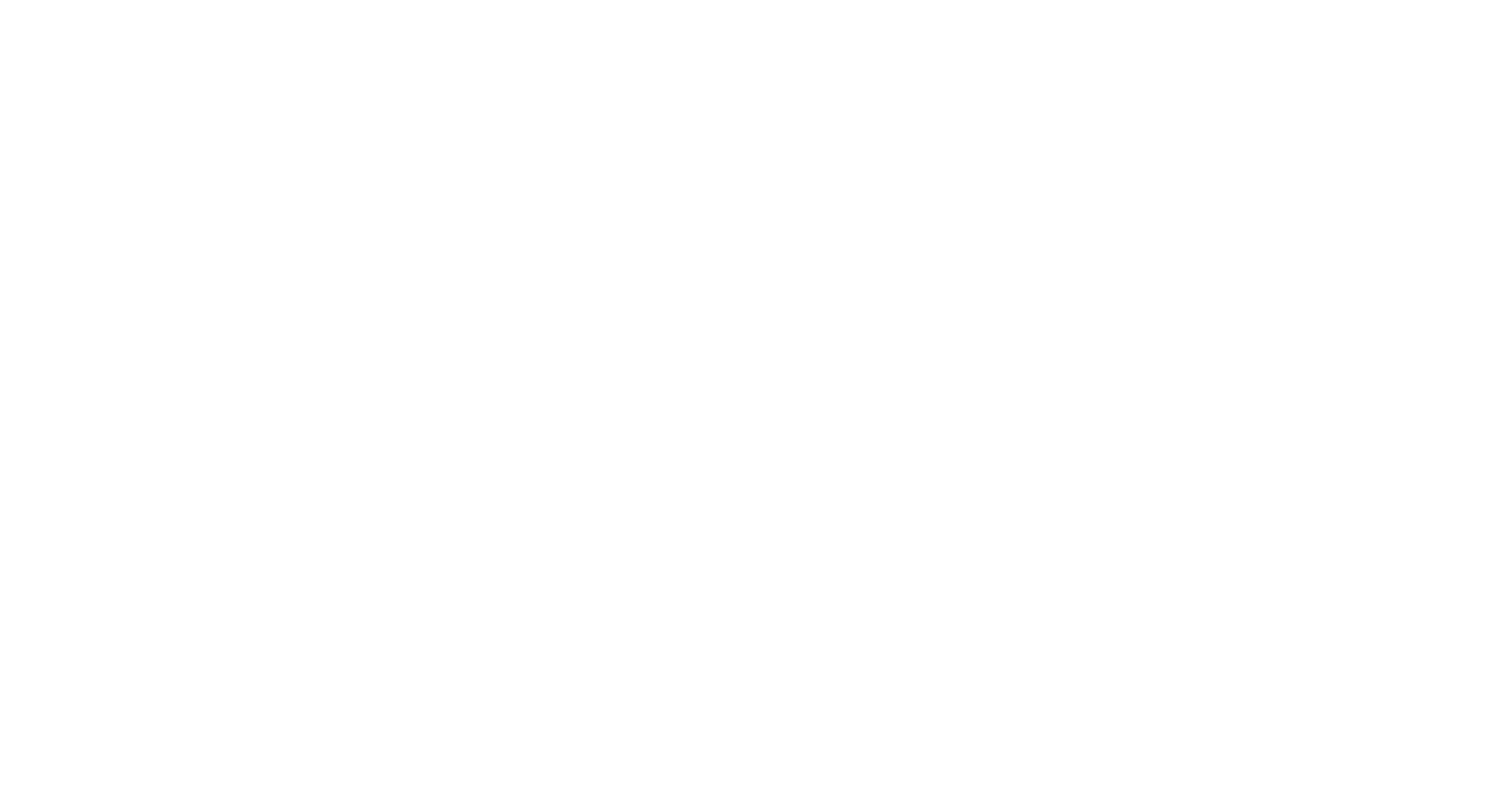 Roleplay Passion Logo